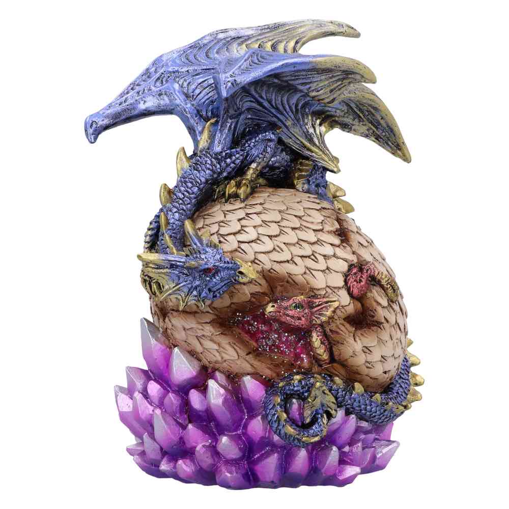 Septaria Uova di Drago Vendita Online